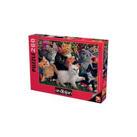 Anatolian 3327 260 Parça Oyuncu Kediler Puzzle