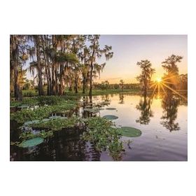 Anatolian 4925 Duck Lake Günbatımı 3000 Parça Puzzle