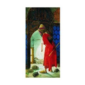 Anatolian Kaplumbağa Terbiyecisi Puzzle