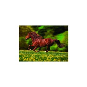 Anatolian Özgürlük 1000 Parça Puzzle