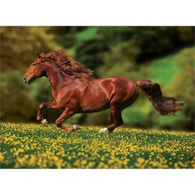 Anatolian Özgürlük 1000 Parça Puzzle