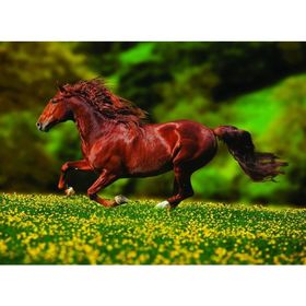 Anatolian Özgürlük 1000 Parça Puzzle