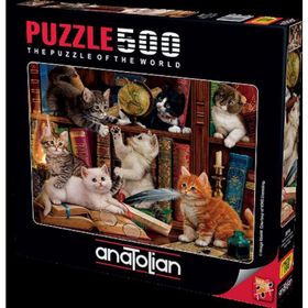 Anatolian Puzzle Kediler ve Kitapla500 Parça