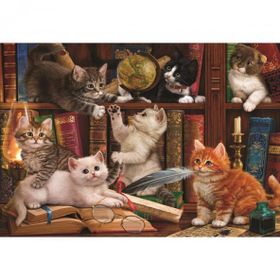 Anatolian Puzzle Kediler ve Kitapla500 Parça