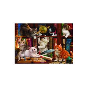 Anatolian Puzzle Kediler ve Kitapla500 Parça