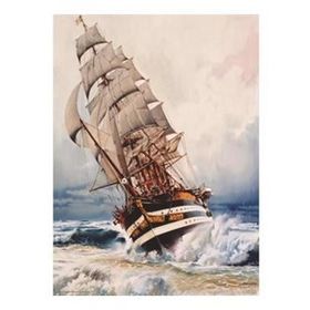 Anatolian T60445 1000 Parça Puzzle