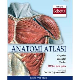 Anatomi Atlası Sobotta Çizimleri - Çağatay Barut