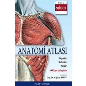 Anatomi Atlası Sobotta Çizimleri - Çağatay Barut