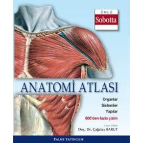 Anatomi Atlası Sobotta Çizimleri - Çağatay Barut
