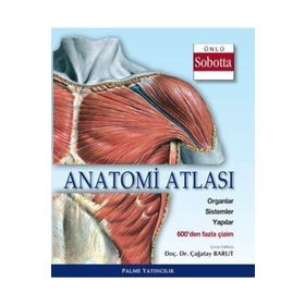 Anatomi Atlası Sobotta Çizimleri - Çağatay Barut