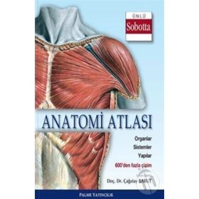 Anatomi Atlası Sobotta Çizimleri - Çağatay Barut