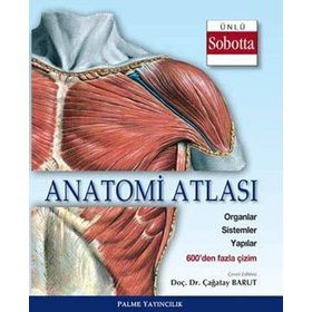Anatomi Atlası Sobotta Çizimleri - Çağatay Barut