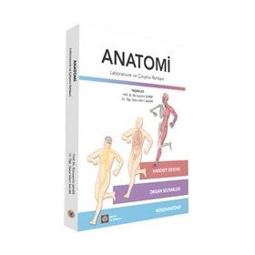 Anatomi - Bünyamin Şahin
