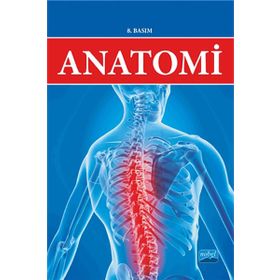 Anatomi - K. Mine Ergun Mürvet Hayran