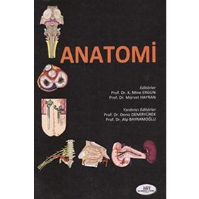 Anatomi - K. Mine Ergun Mürvet Hayran