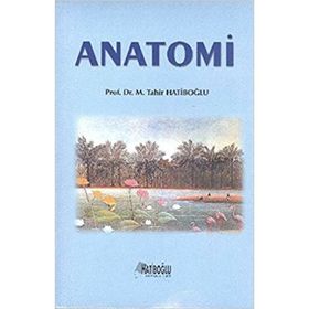 Anatomi - K. Mine Ergun Mürvet Hayran