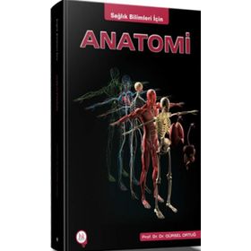 Anatomi - K. Mine Ergun Mürvet Hayran