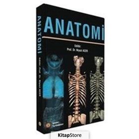Anatomi - K. Mine Ergun Mürvet Hayran