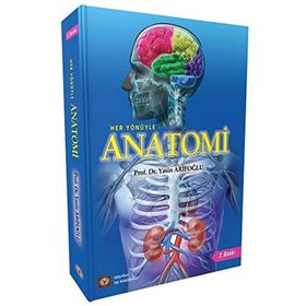 Anatomi - Yasin Arifoğlu