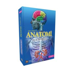 Anatomi - Yasin Arifoğlu