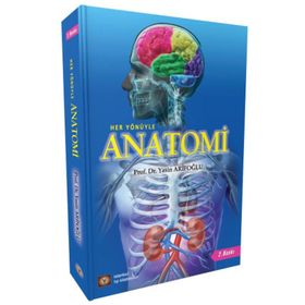Anatomi - Yasin Arifoğlu