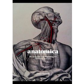 Anatomica the Exquisite and Unsettling Art of Human Anatomy