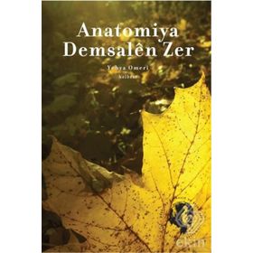 Anatomiya Demsalen Zer - Yehya Omeri