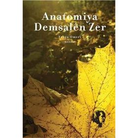 Anatomiya Demsalen Zer - Yehya Omeri