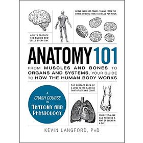 Anatomy 101 From Muscles and Bones to Organs and Systems Your Guide to How the Human Body Works