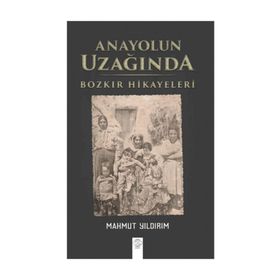 Anayolun Uzağında - Mahmut Yıldırım
