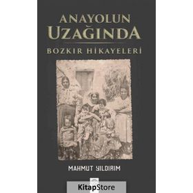 Anayolun Uzağında - Mahmut Yıldırım