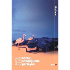 Ancak Söndüğünde Parlayan - Sevgi Ozan