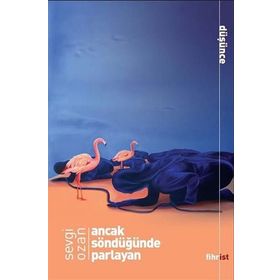 Ancak Söndüğünde Parlayan - Sevgi Ozan