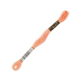 Anchor 0336 Muline 8 mt El Nakış İplikleri