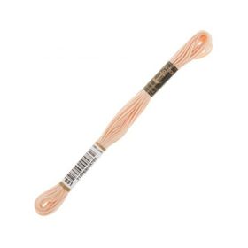 Anchor 0881 Muline 8 mt El Nakış İplikleri