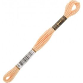 Anchor 0942 Muline 8 mt El Nakış İplikleri
