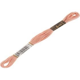 Anchor Muline 1008 Nakış İpliği