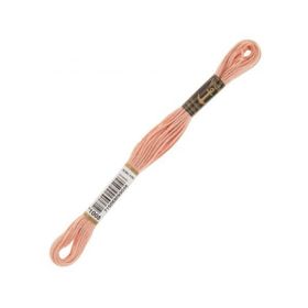 Anchor Muline 1008 Nakış İpliği