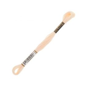 Anchor Muline 1009 Nakış İpliği