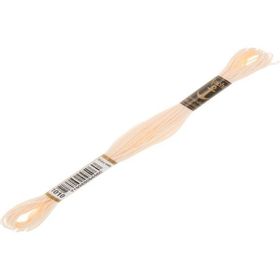 Anchor Muline 1010 Nakış İpliği