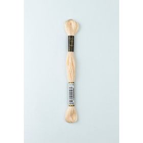 Anchor Muline 1010 Nakış İpliği
