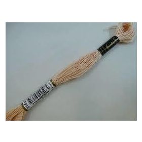 Anchor Muline 1012 Nakış İpliği