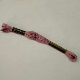 Anchor Muline 1017 Nakış İpliği