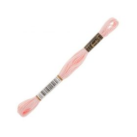 Anchor Muline 1020 Nakış İpliği