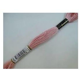 Anchor Muline 1021 Nakış İpliği