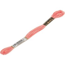 Anchor Muline 1022 Nakış İpliği