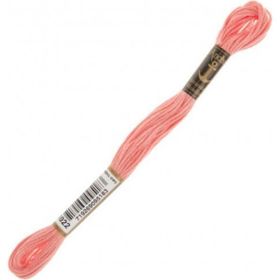 Anchor Muline 1022 Nakış İpliği