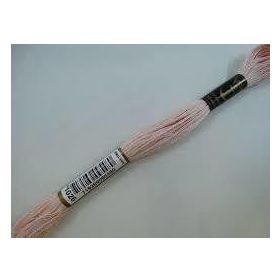 Anchor Muline 1026 Nakış İpliği