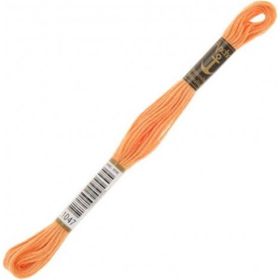 Anchor Muline 1047 Nakış İpliği