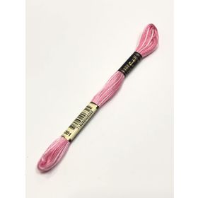 Anchor Muline 1084 Nakış İpliği